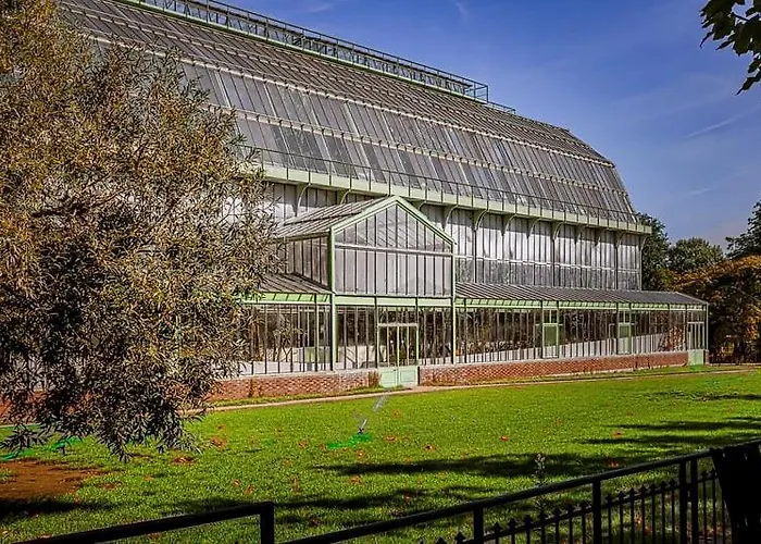 Service - En Face Du Musee - 5 *